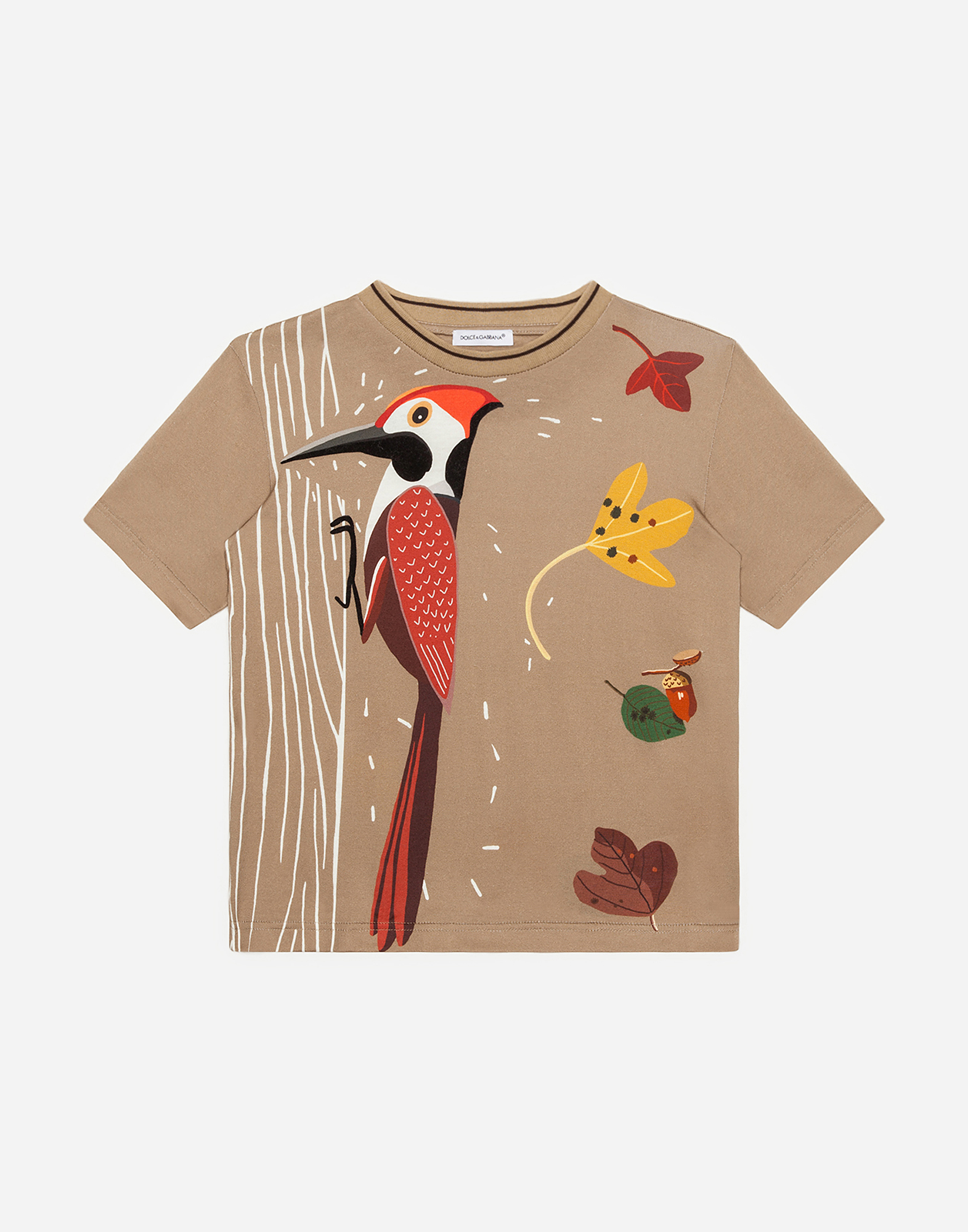 Dolce & Gabbana Kids' Jersey T-shirt With Woodpecker Print
