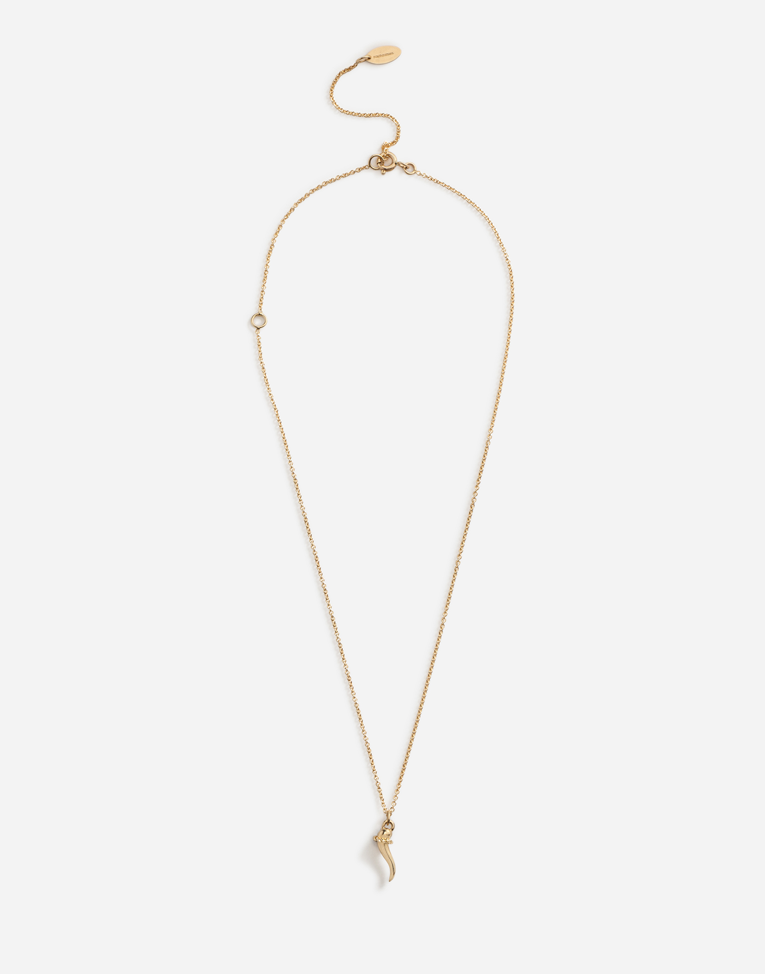 Necklace with good luck charm in Gold