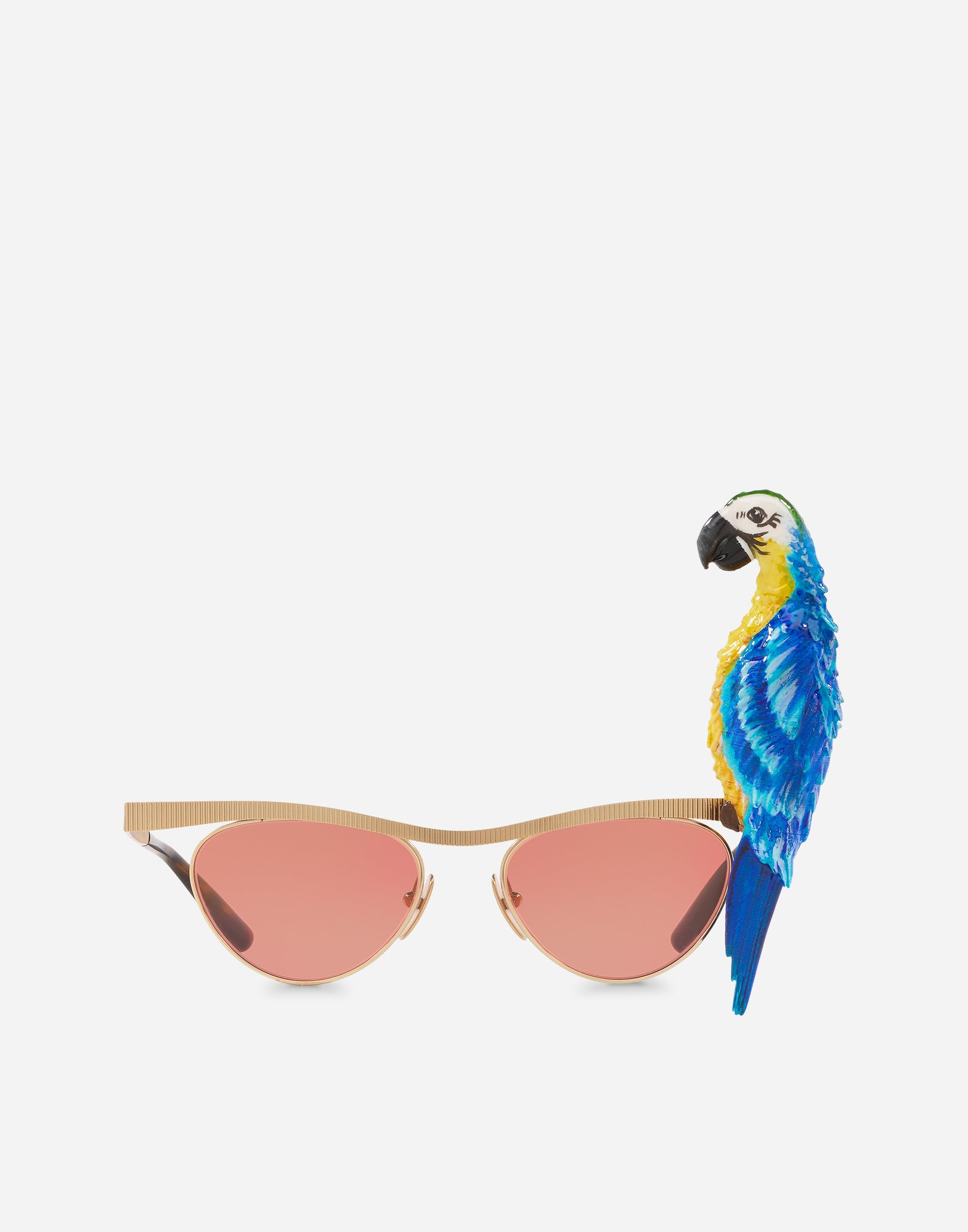 Tropical parrot sunglasses in Gold