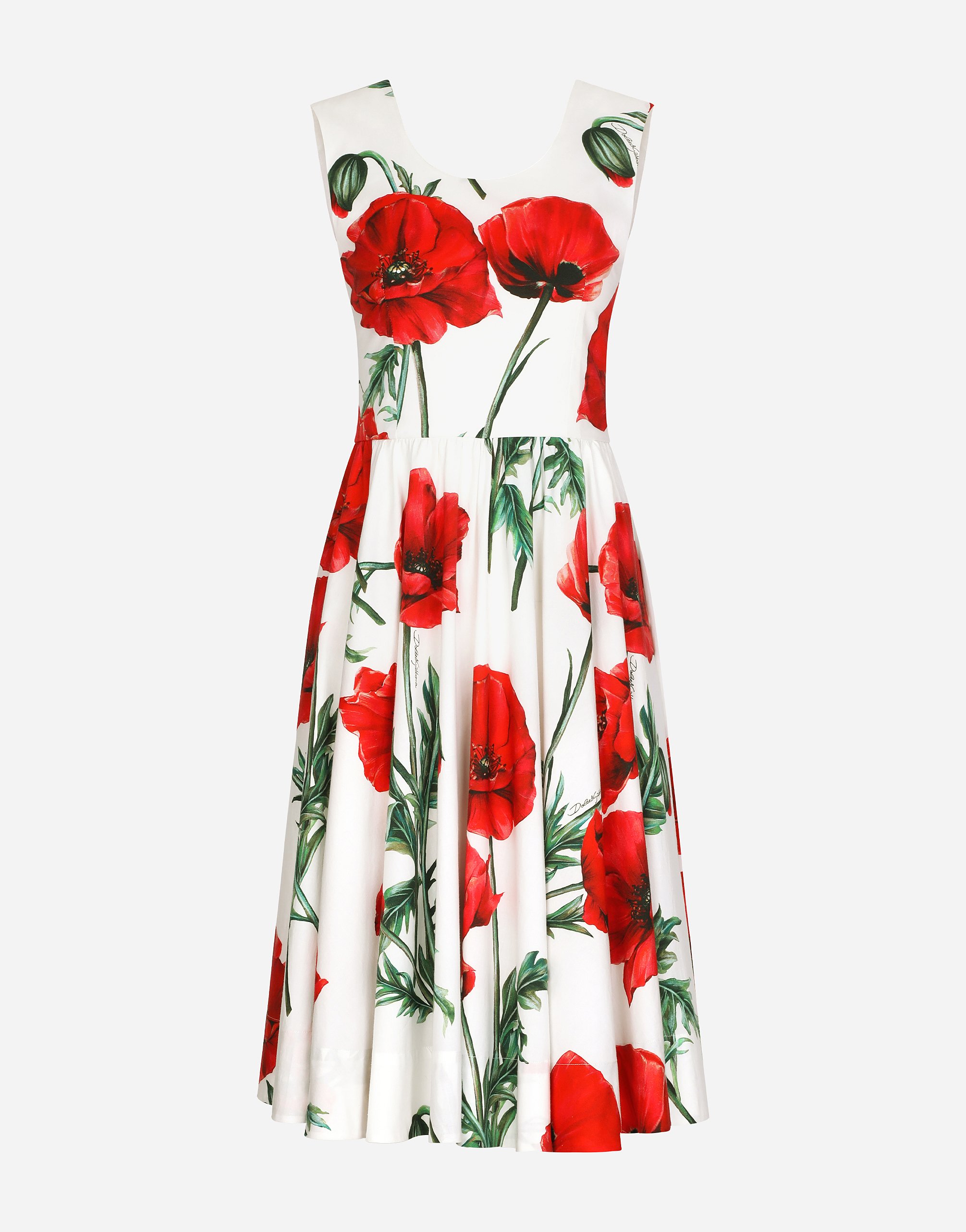 Poppy-print poplin midi dress in Multicolor