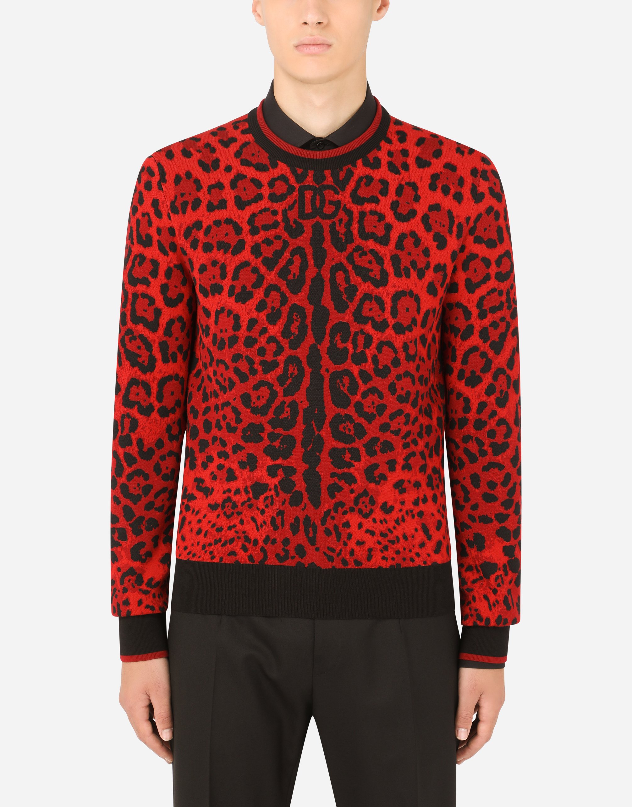 Round-neck jacquard sweater with leopard detailing in Multicolor