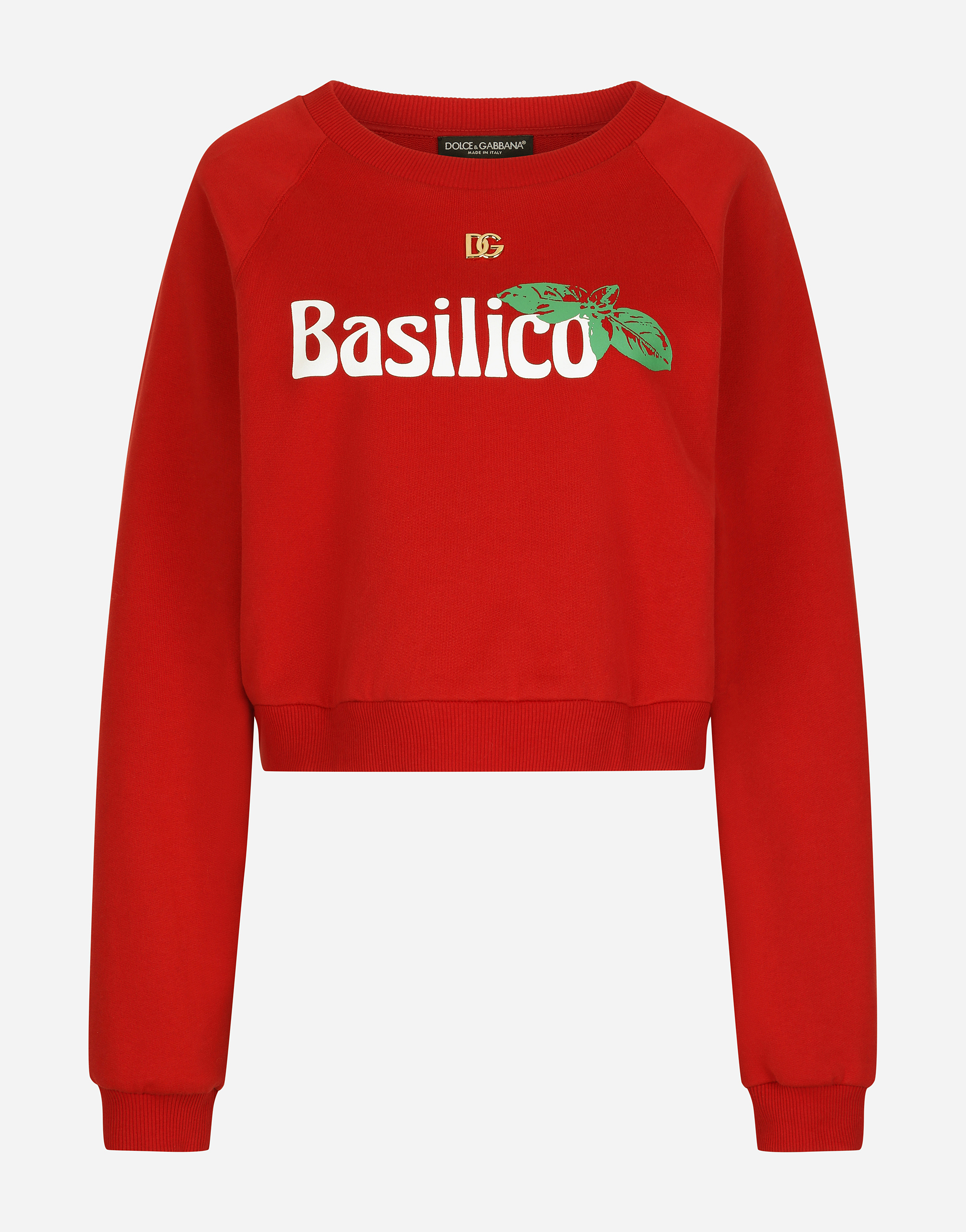 Cropped basil-print jersey sweatshirt with DG logo in Multicolor
