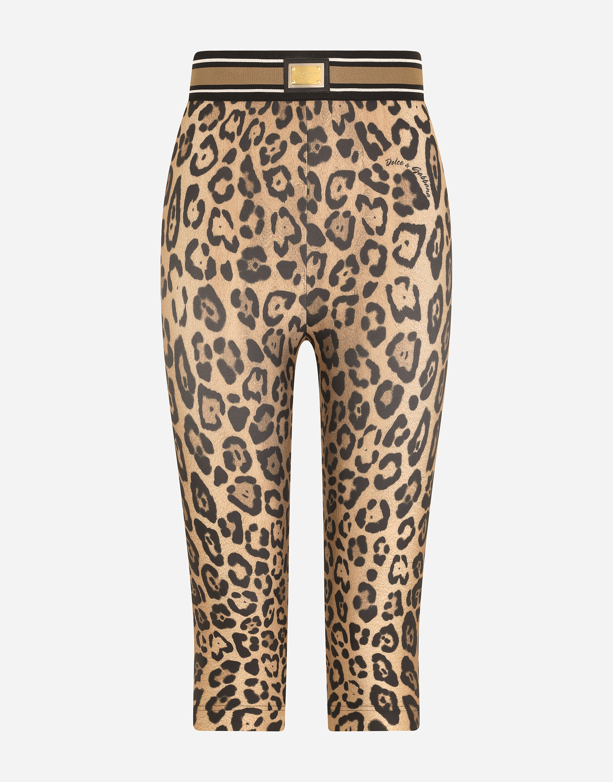 Leopard-print spandex/jersey cycling shorts in Multicolor