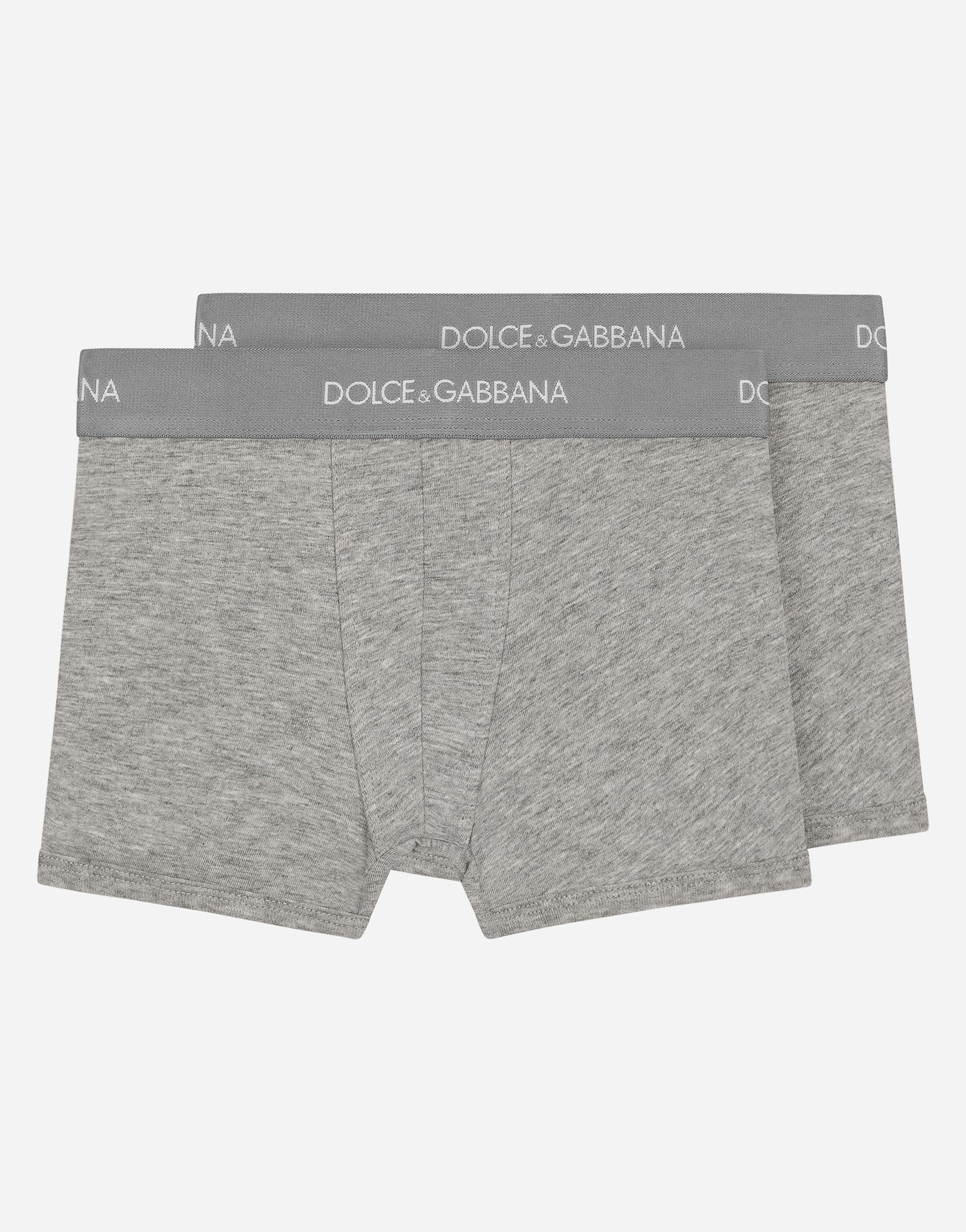 Boxer two-pack with branded elastic in Grey