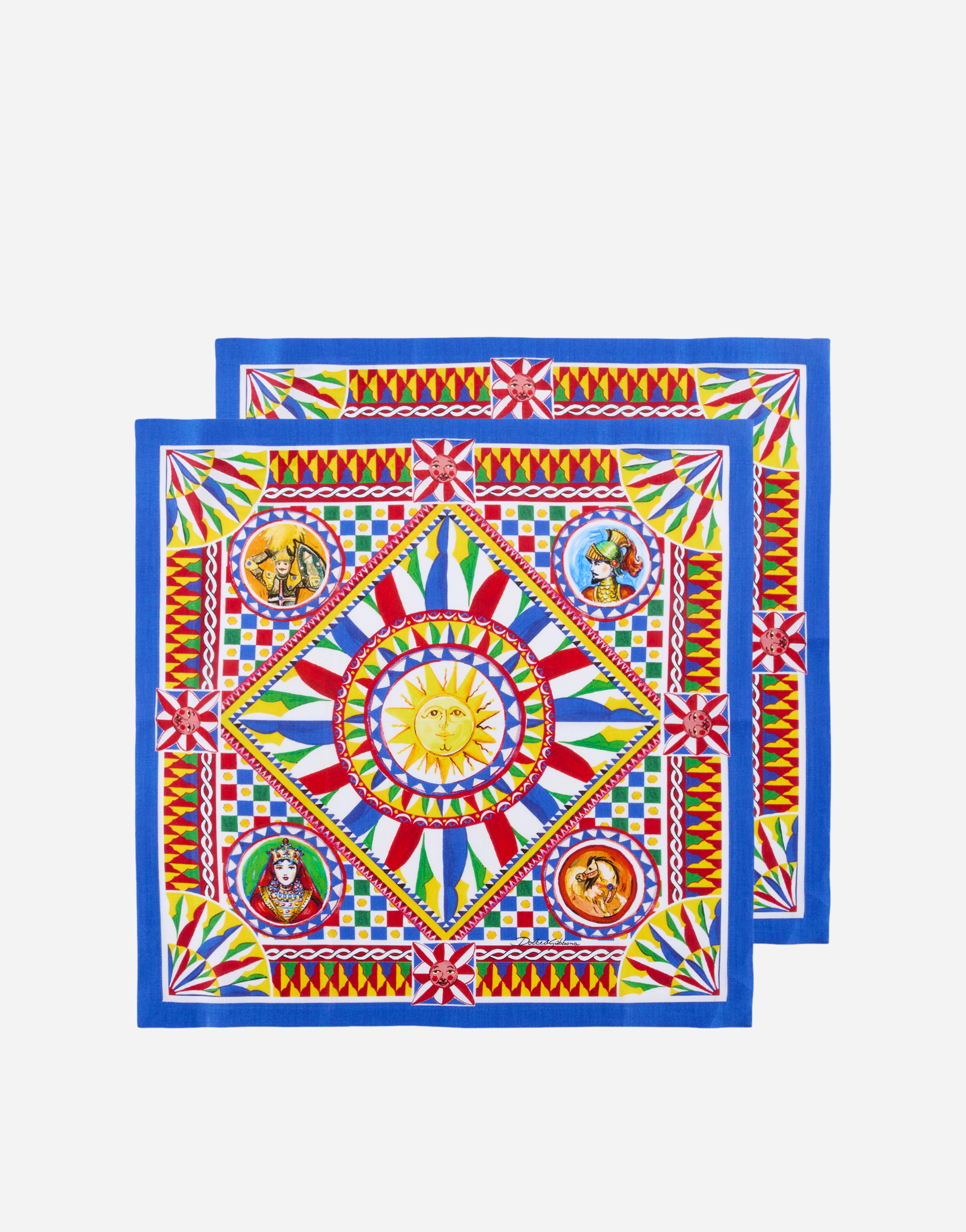 Set of 2 Linen Napkins in Multicolor
