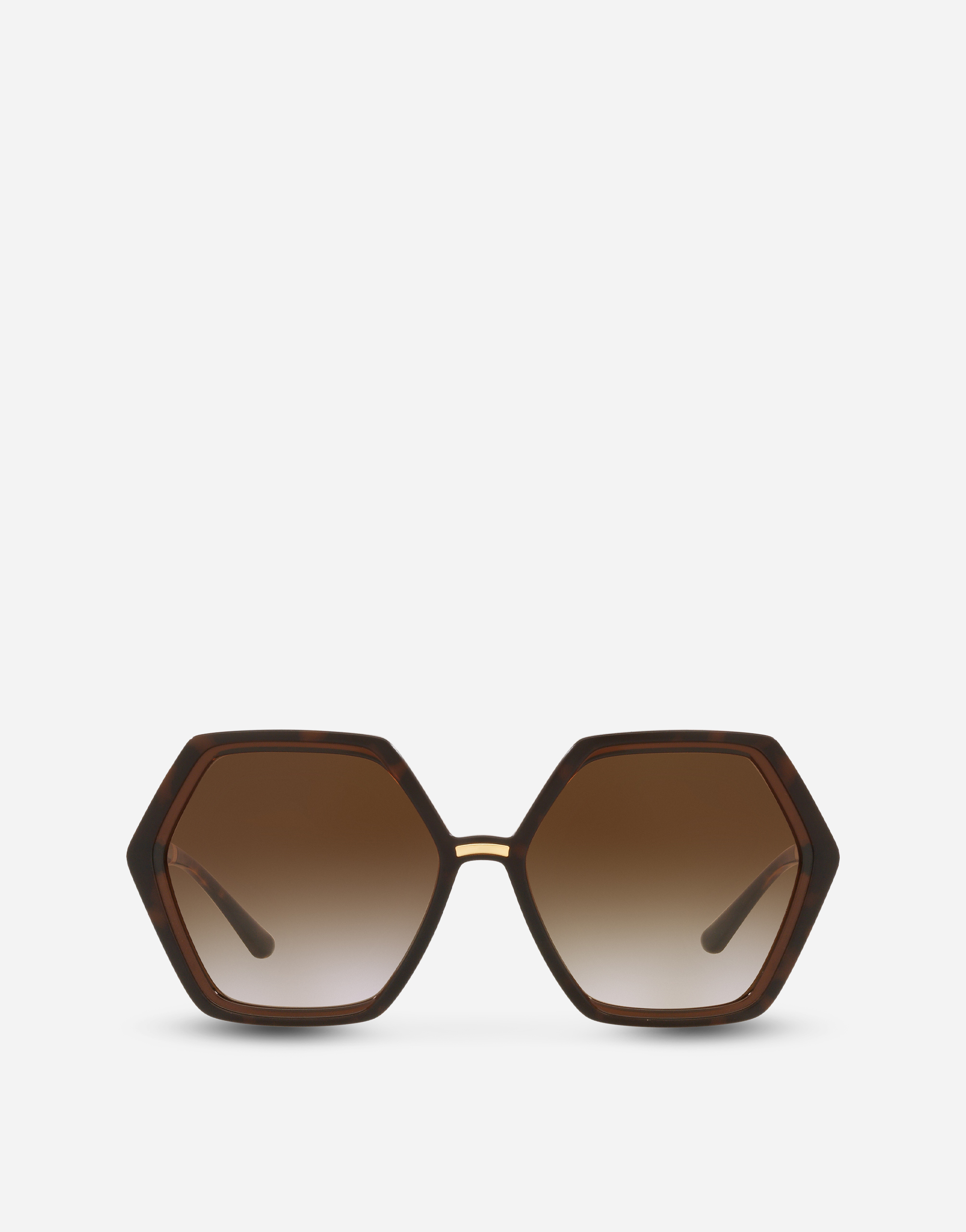 Line sunglasses in Havana and brown transparent