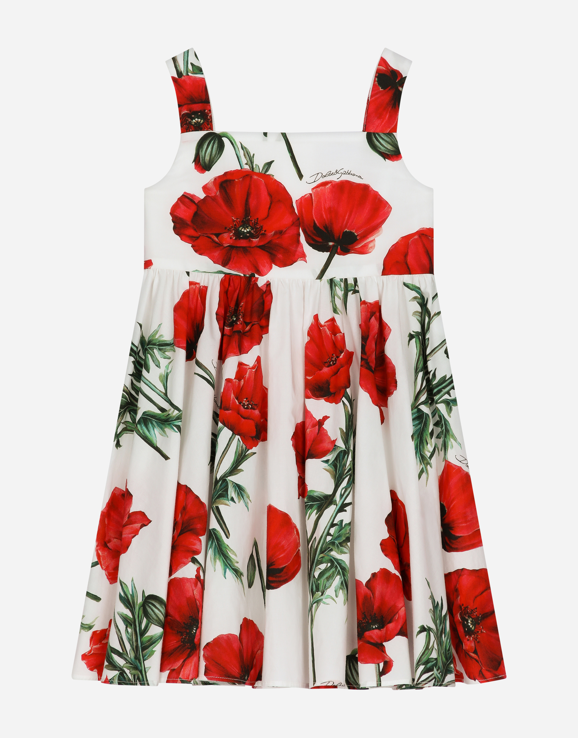 Poppy-print poplin midi dress in Multicolor