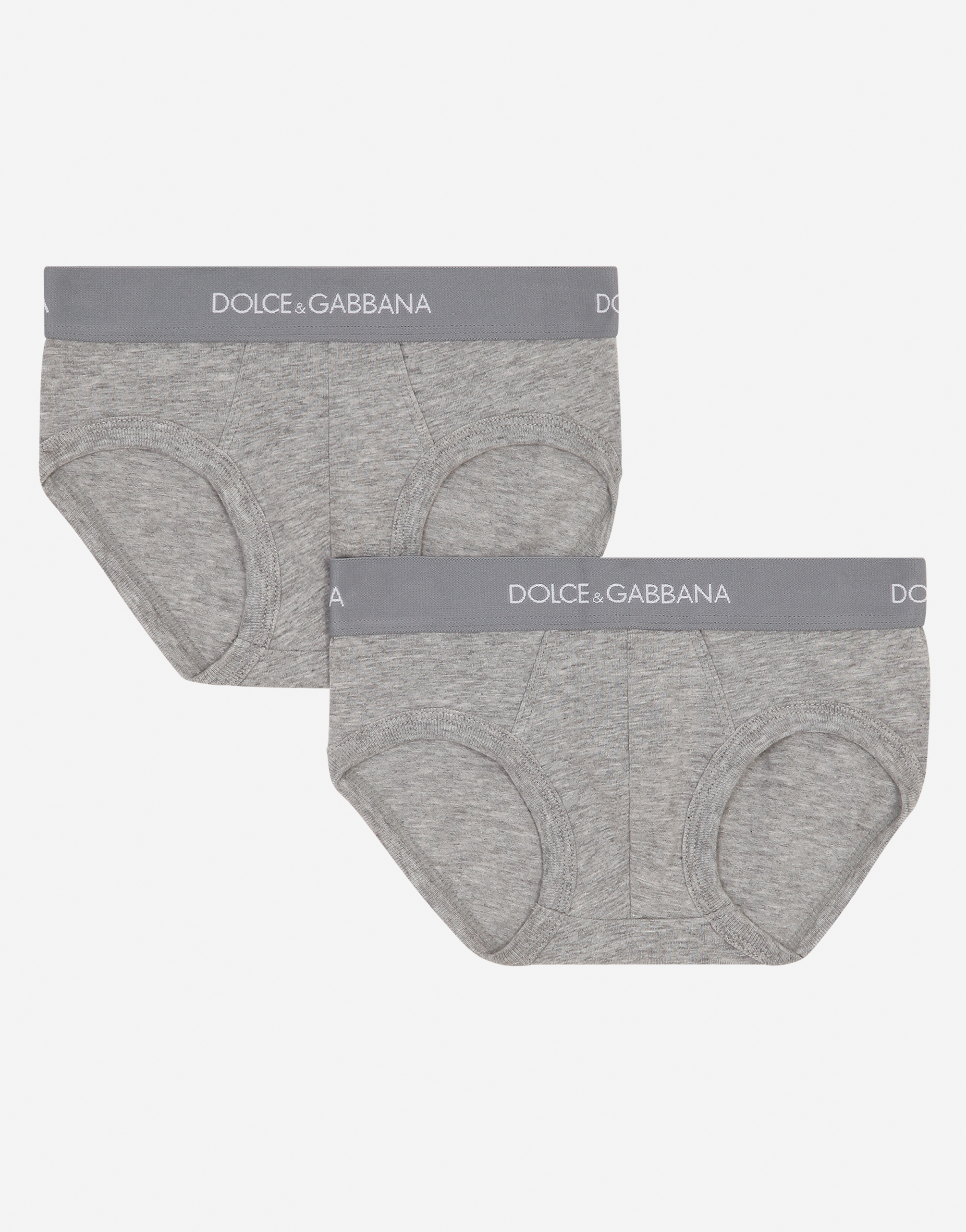 Jersey briefs two-pack with branded elastic in Grey