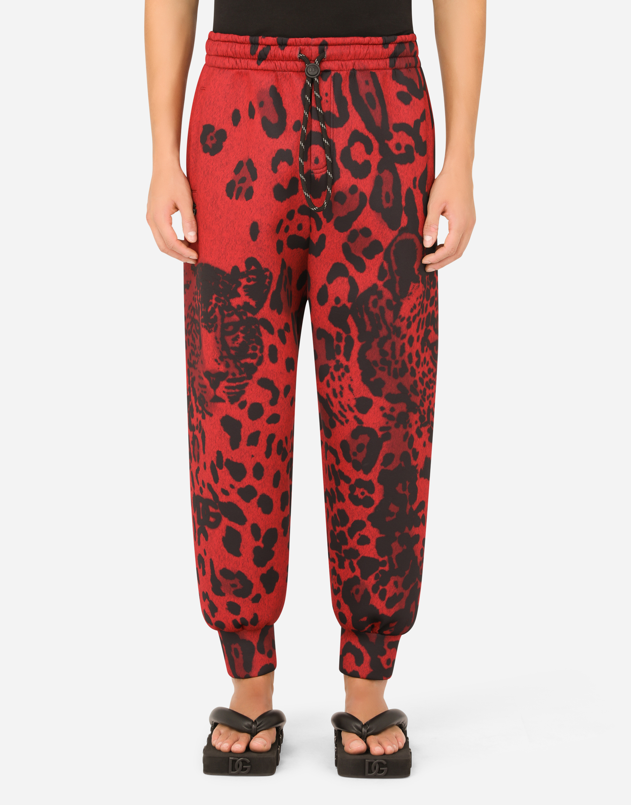 Leopard-print jogging pants in Multicolor