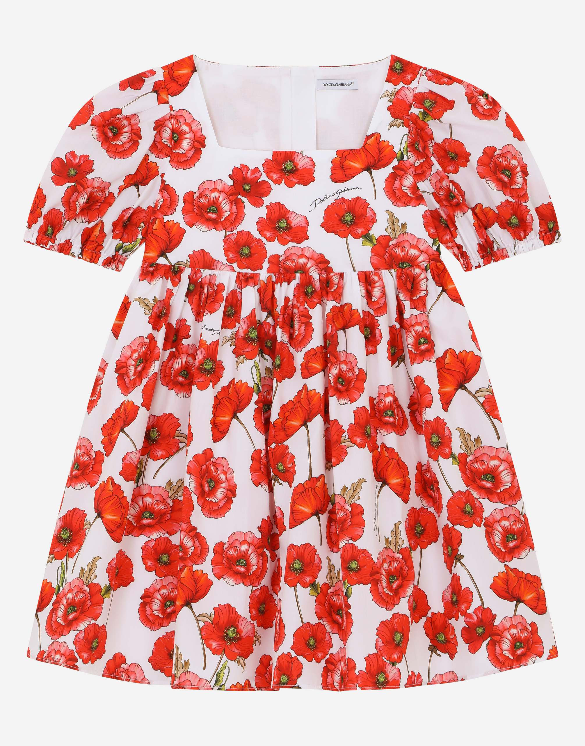 Short poppy-print poplin dress in Multicolor
