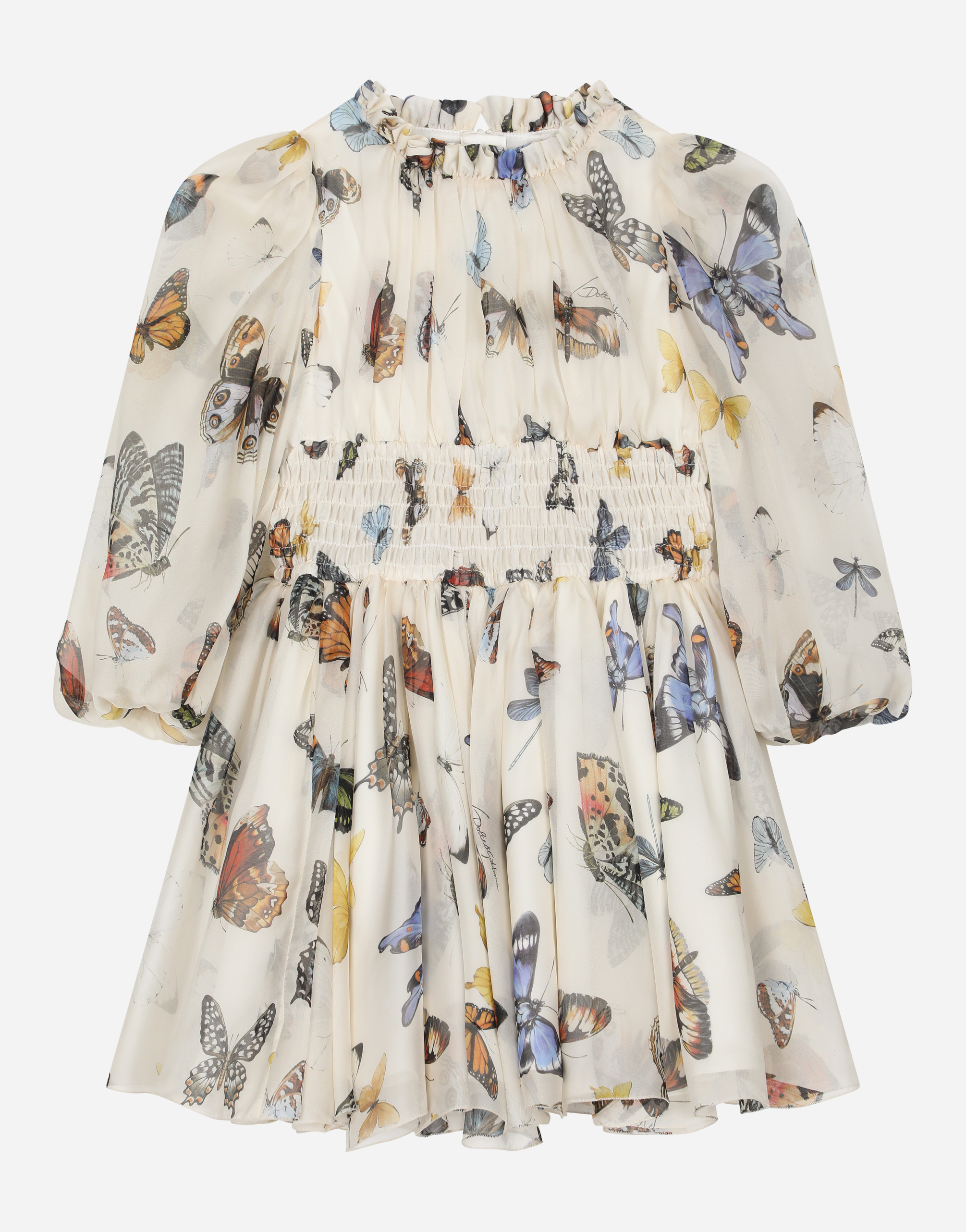 Butterfly-print chiffon midi dress in Multicolor