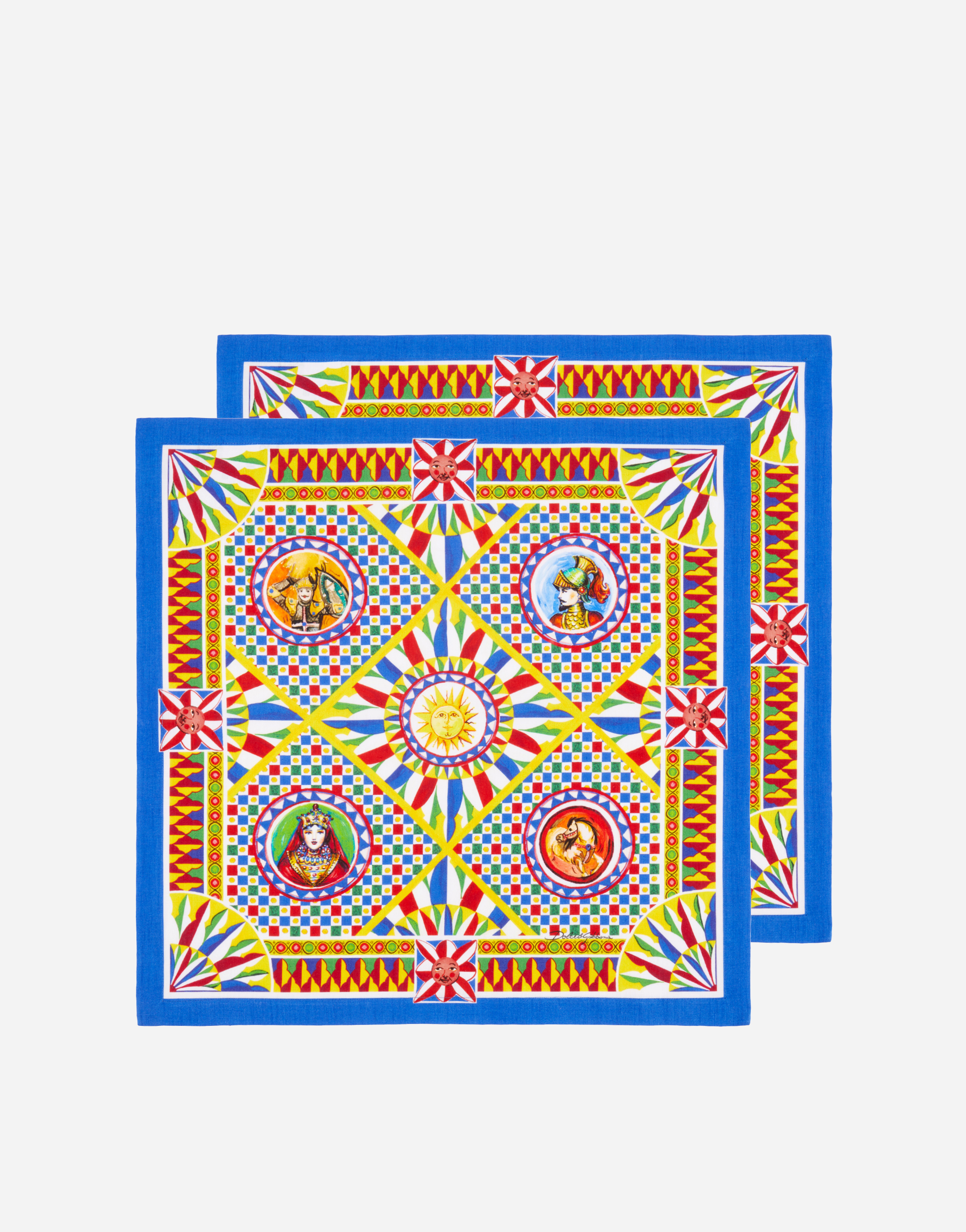 Set of 2 Linen Napkins in Multicolor