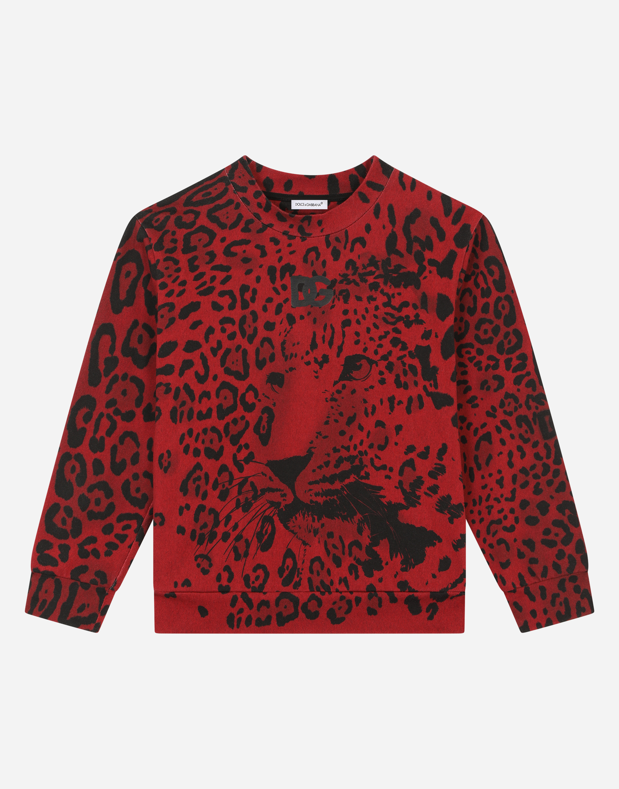 Leopard-print jersey sweatshirt in Multicolor